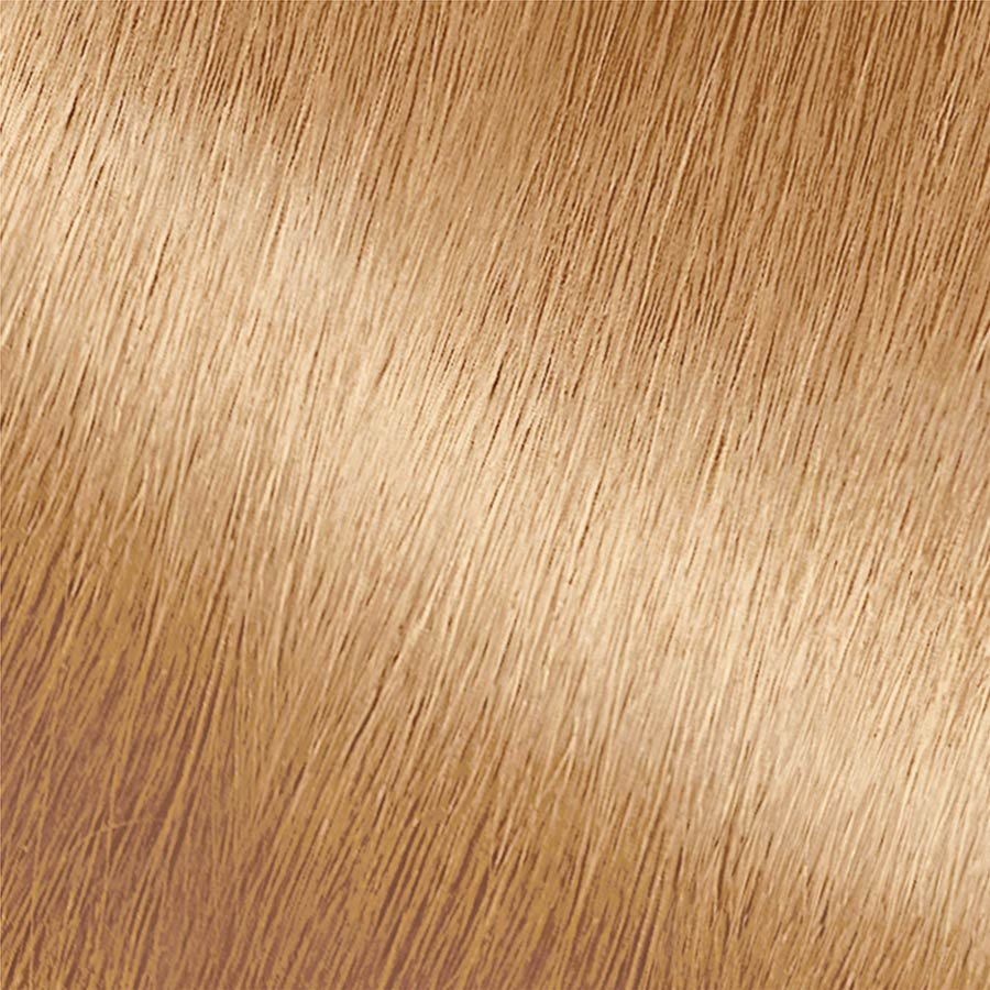 Garnier Nutrisse Nourishing Color Creme 803 - Medium Buttery Blondes Permanent Hair Color Swatch